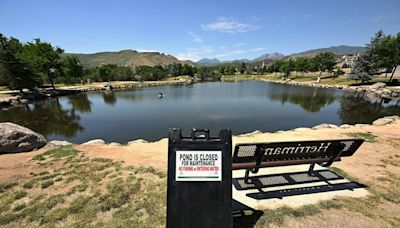 Herriman pond closed after hundreds of fish found dead