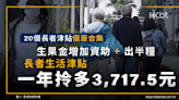 20個長者津貼優惠：生果金加資助、長者生活津貼拎多3,717元！