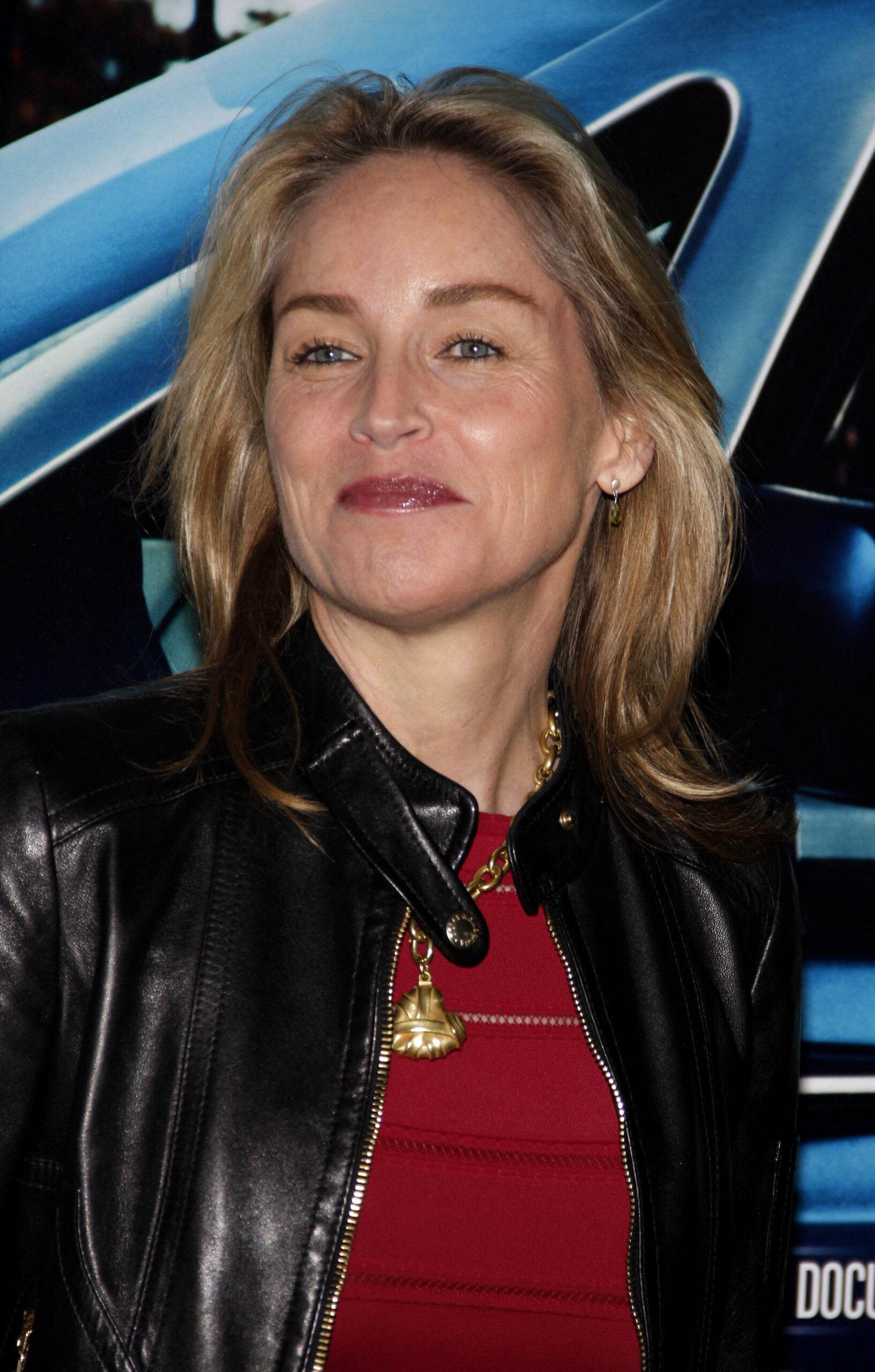 Sharon Stone Sued Over An Alleged Car Accident Causing Injuries