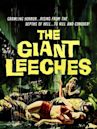 Attack of the Giant Leeches