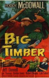 Big Timber