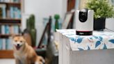 TP-Link Tapo C225 旋轉式鏡頭、智慧 AI 偵測，最適合居家使用的網路監控攝影機