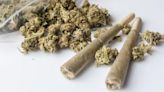 U.S. Drug Enforcement Administration Recommends Rescheduling Marijuana To Schedule III, Similar to Tylenol With Codeine
