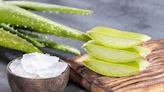 Beneficios del aloe vera