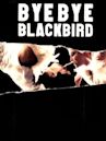 Bye Bye Blackbird (film)