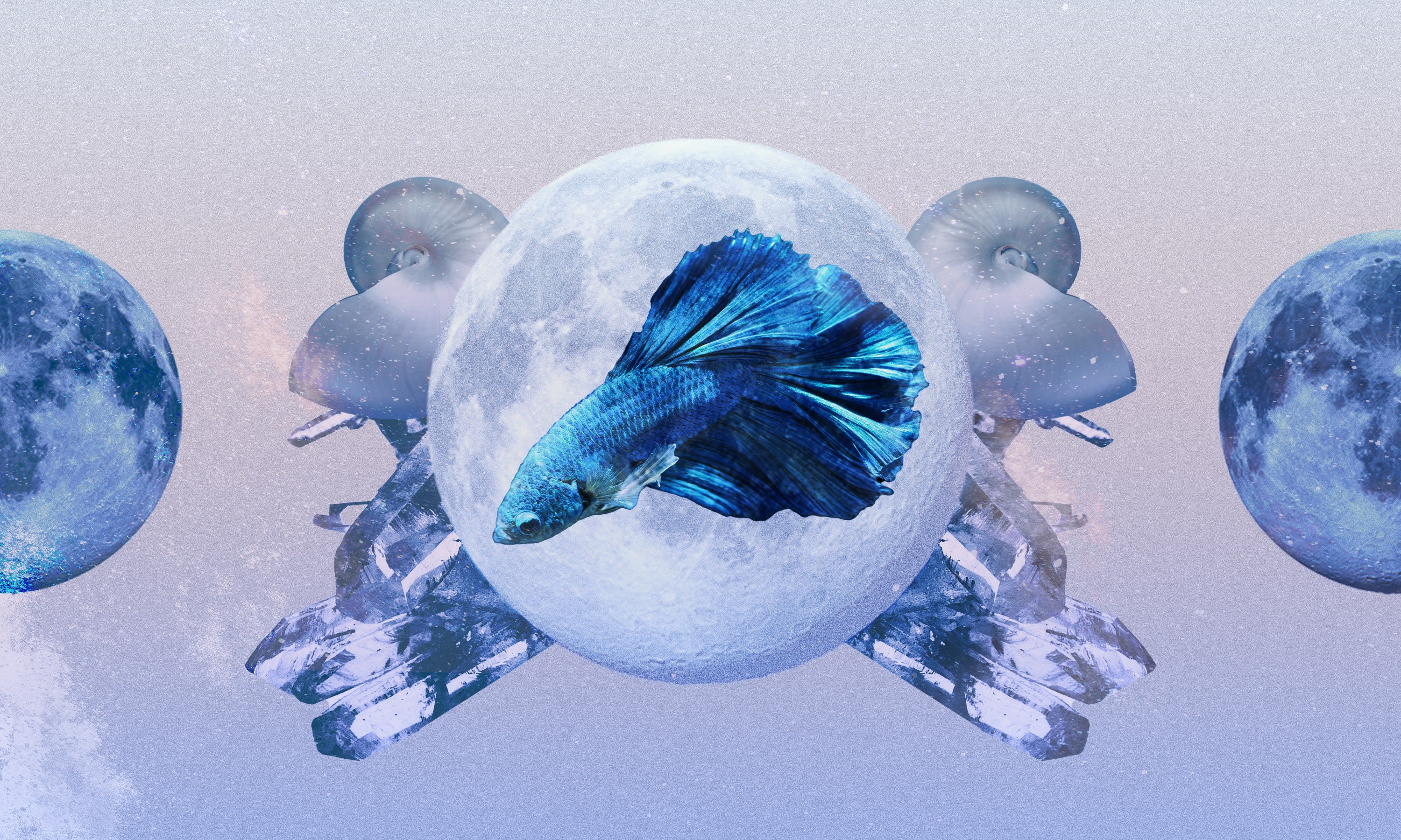 Pisces May 2024 Horoscope: Read Your Monthly Predictions