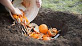 Why Do People Use Orange Peels In The Garden, And Can They Help Plants Grow?