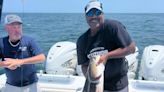 Big cobia fish strikes, one of the season's first landed off New Jersey coast