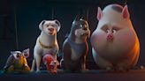 ‘DC League of Super-Pets’ Edges ‘Nope’ With $22.5 Million Box Office Opening