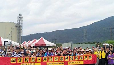 花蓮鳳林慢城桐花祭 浪漫綻開