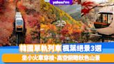 韓國紅葉2023｜單軌列車楓葉絕景3選！坐小火車穿梭首爾近郊和談林、仁川華蓋山、光州無等山 高空俯瞰秋色山景