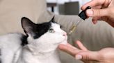 Is CBD Safe for Cats and Dogs?