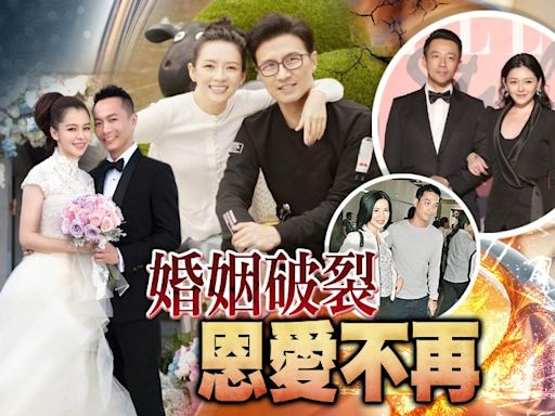 娛圈多婚變！章子怡汪峰夫妻情不再 大S汪小菲愛恨糾纏不清