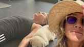 Jennifer Aniston e sua dedicação aos cães e adoção temporária - OFuxico