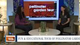 Exploring the beautiful world of pollinators at the Reno Pollinators Garden Tour