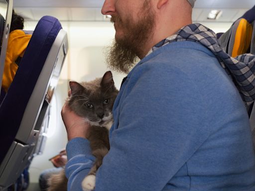 Passenger brings cats to airport, the security gate experience is priceless
