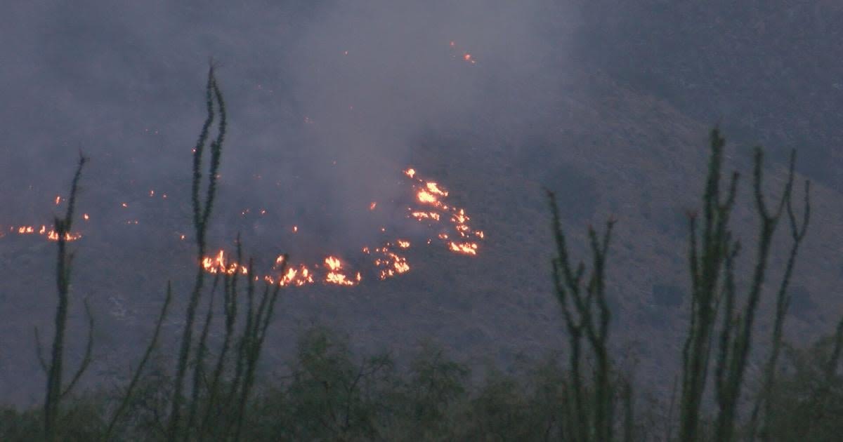 Lone Star Fire charring on the Whetstone Mountains causing concern for wildlife impact
