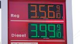 Florida gas prices slightly lower than last week; Palm Beach County paying most