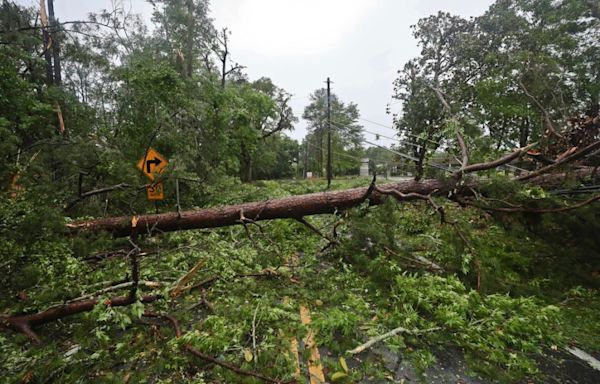 3 tornadoes confirmed in Tallahassee after severe weather; woman killed