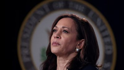 Backed by Biden, Harris scrambles to lock up White House bid