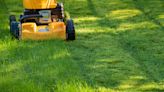'Cutting grass in hot weather can do more damage than good' – expert mowing tips for high temperatures