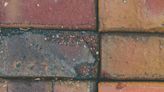 The Inside Outside Guys: Brick pavers or decorative concrete?