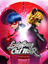 Ladybug & Cat Noir Awakening