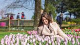 Tulips from (just outside) Amsterdam: Add Keukenhof to your spring travel bucket list