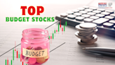 Top Budget Stocks: HAL, PFC, Borosil and More; Senior Analyst at LKP Securities Recommends Shares Ahead of Union Budget 2024
