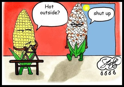Hump day funny cartoon corn hot outside
