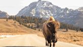 Indian issues highlight recent InterAgency Bison Committee Program meeting