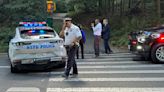 Sunbather, 21, fights off rapist in New York City's Central Park