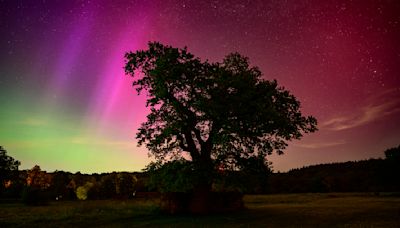 The Northern Lights could return this week –5 ways to plan your photo shoot