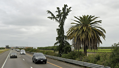 Palm and Pine: Quirky California landmark will fall to highway project