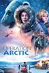 Operation Arctic