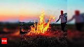 Centre allocates over ₹1,681cr to Punjab for stubble burning control in 7 years | Chandigarh News - Times of India