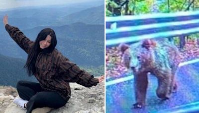 悚！19歲女登山在男友面前「遭熊拖走」 扔下120米懸崖身亡