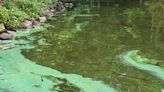 Water at Union County park safe after algae bloom, officials say