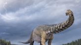 Only 5 feet down under, a dinosaur graveyard turned up in Australia. It's sparking a paleontological revolution in the country.