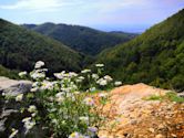 Nationalpark Kozara