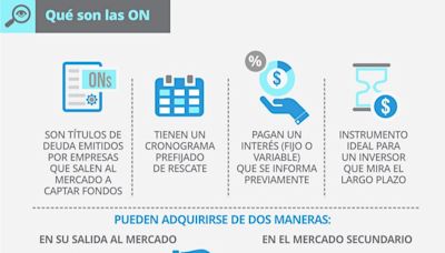 Oportunidades de inversión en dólares: rentabilidad y seguridad con Obligaciones Negociables