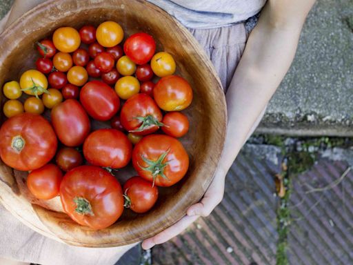 You Might Be Missing Out on the Best Use of Tomatoes