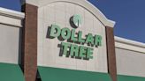 Dollar Tree’s Best Deals: Regulars Reveal 8 Standout Buys for Your Money