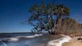 Pensacola & Perdido Bays have long dealt with pollution. How a federal designation can help