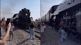 En Coahuila, mujer es golpeada por la locomotora "La Emperatriz"