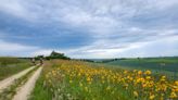 Biking from New Glarus to Monroe, all for the glory of Limburger cheese