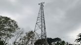 Indus Towers Q1 Net Profit Jumps 43% to Rs 1,926 crore