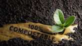 The Best Compostable Products of 2024