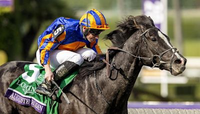 Breeders' Cup "Win and You're In" program visits Ireland this weekend