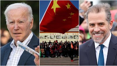 FLASHBACK: Biden made revealing comment about niece's Obama admin role while praising 'rising China'